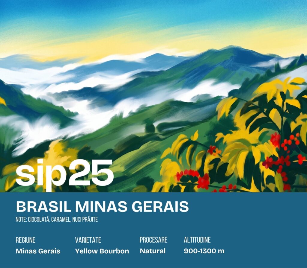 Eticheta sip25 pentru Brasil Minas Gerais — note: Ciocolată, caramel, nuci prăjite