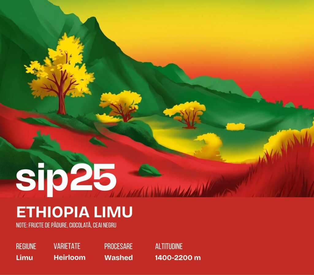 Eticheta sip25 pentru Ethiopia Limu — note: Fructe de pădure, ciocolată, ceai negru